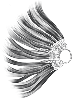 Accesso prioritario ai Sistemi di Collezione